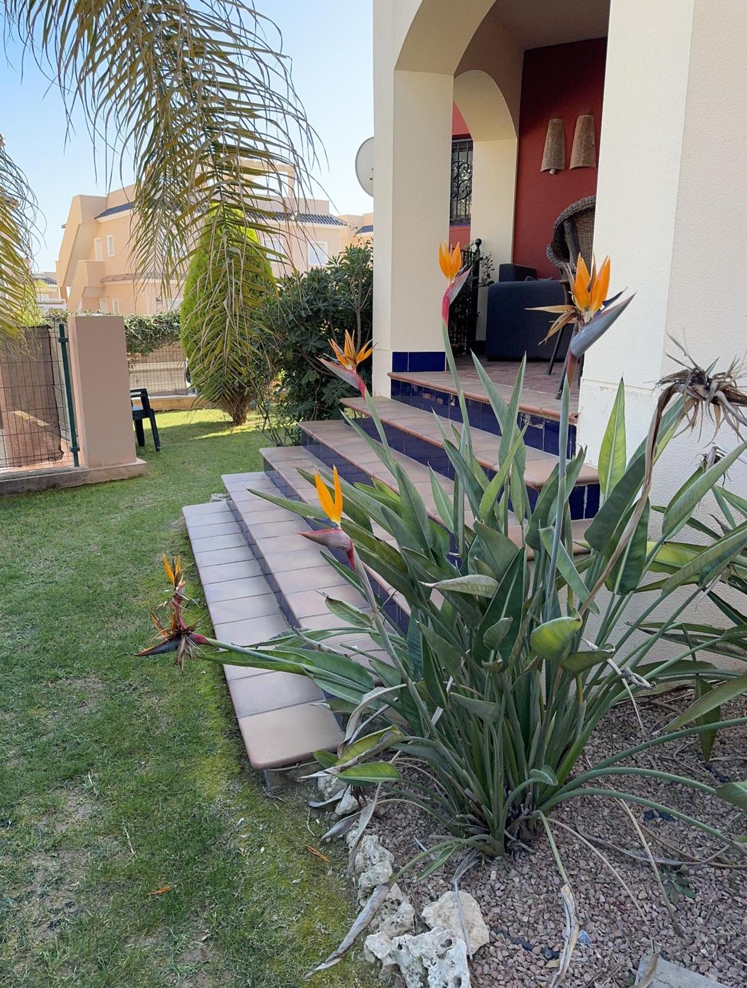 Bungalow Punta Marina Torrevieja Exterior foto